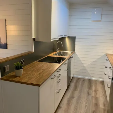 Vitteludd Seaside Houtskaer