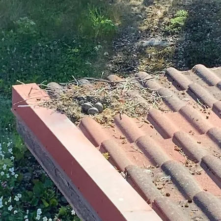 Vitteludd Seaside Houtskaer * Houtskar