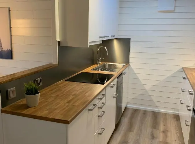 Vitteludd Seaside Houtskaer